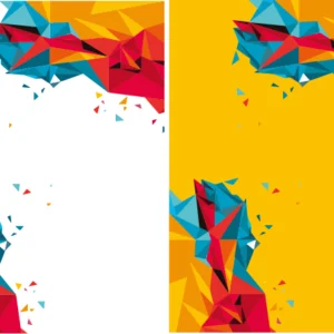 Jersey Geometric Bicolor 2