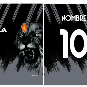 Real Zaragoza Concept Lyon